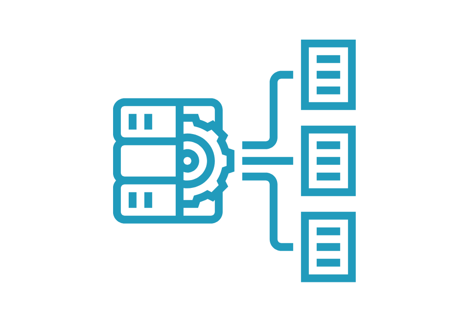 IN-SYNCH Developer database Integration